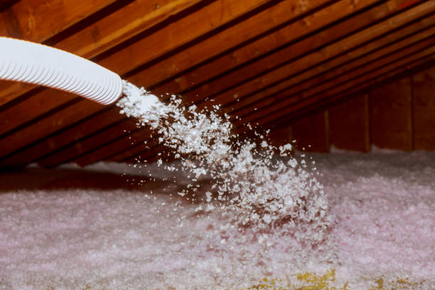Best Residential Insulation in Belville, NC