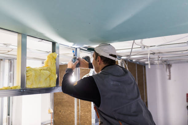 Trusted Belville, NC Insulation Contractor Experts