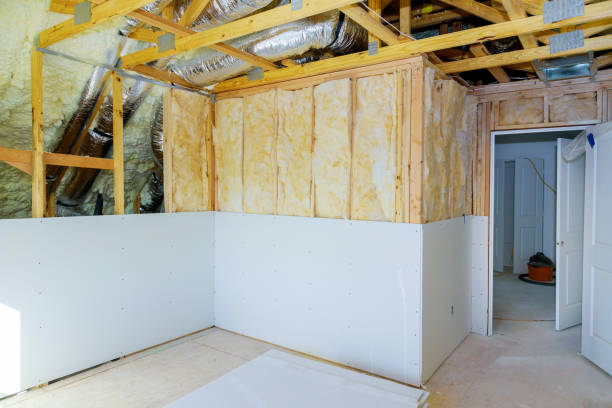 Best Specialized Insulation Services in Belville, NC