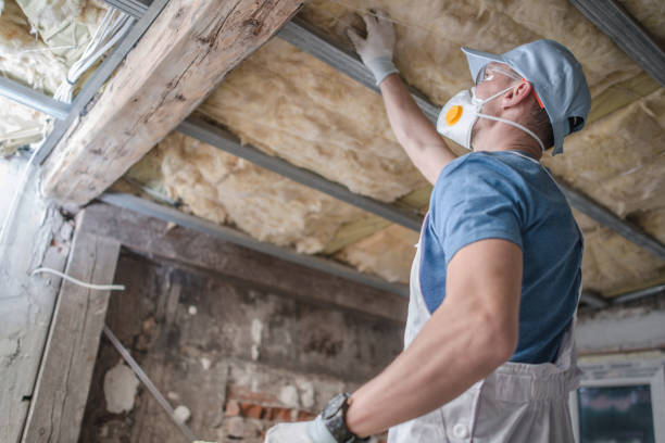 Best Geographic-Specific Insulation Services in Belville, NC